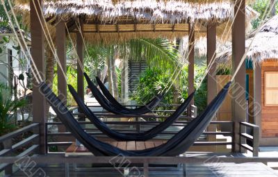hammock
