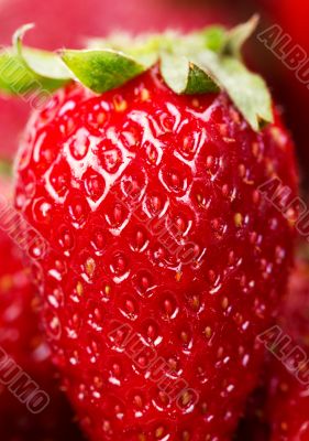 One berry strawberry