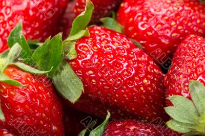 ripe strawberries