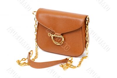 Brown leather bag