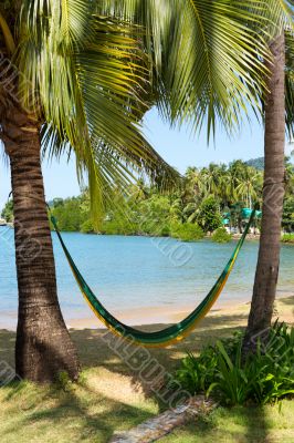 Hammock on a tropical beach