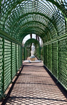 Alley of the Summer Garden in St. Petersburg