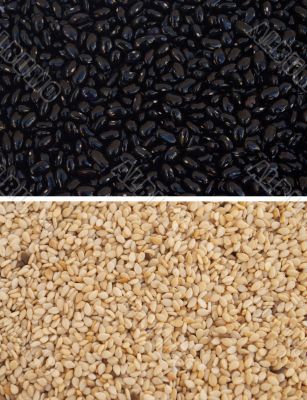 Seeds