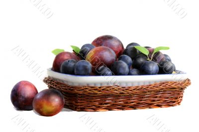 Plums and prunes in a vase for fruit on a white background.