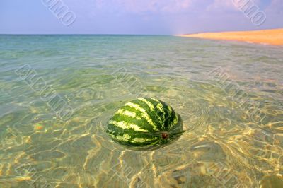 Watermelon 