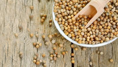 Coriander seeds in small ceramic pot