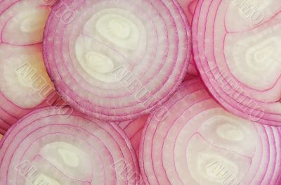 Slice of red onion, isolated 
