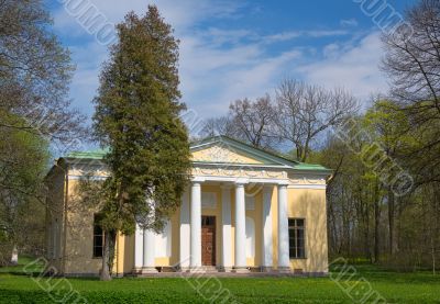 Old house with columns in the woods