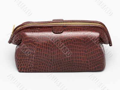 Leather clutch isolated