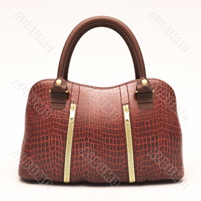 Crocodile leather handbag isolated