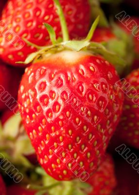 Strawberries closeup