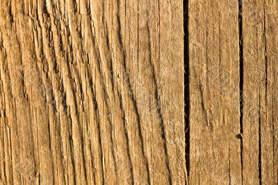 Texture of wood