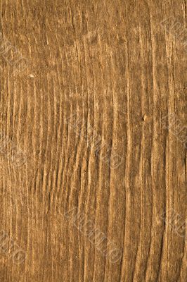 Texture of wood