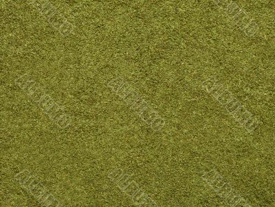 Grass texture