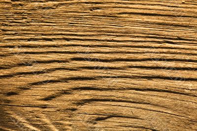 Texture of wood