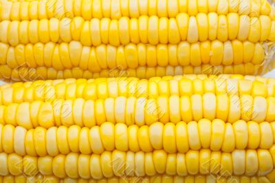Corn-cob