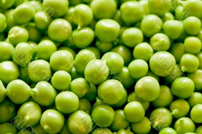 Shelling peas