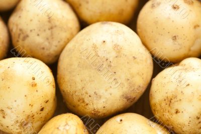 Fresh potatoes