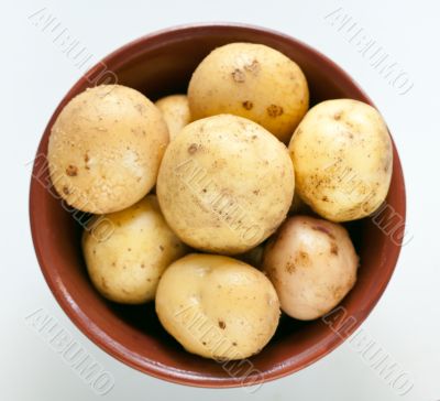 Fresh potatoes