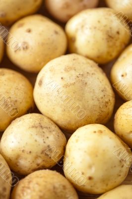 Fresh potatoes