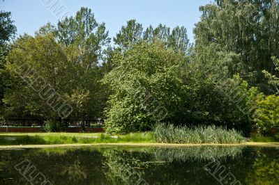 City park