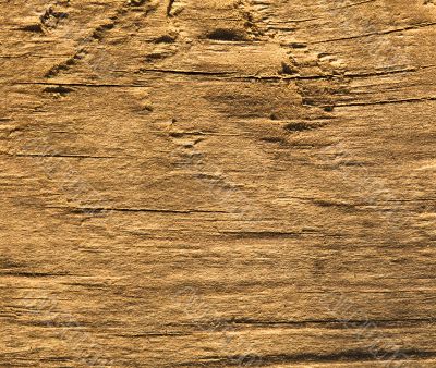 Texture of wood