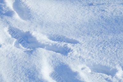 Deep snow