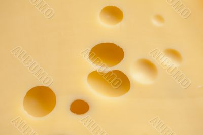 Texture of cheese
