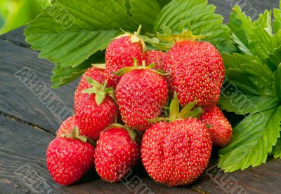 Strawberries