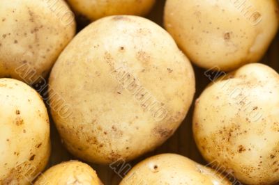 Fresh potatoes