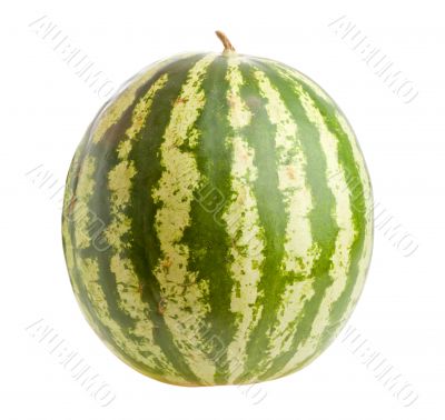 Watermelon  isolated