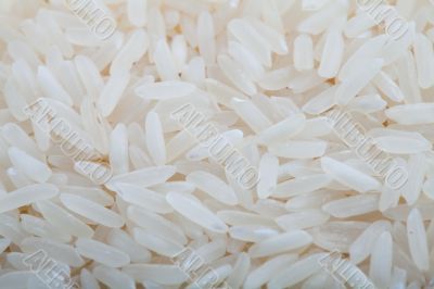 Long grain rice