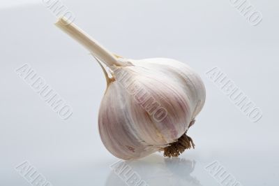 Clove garlic