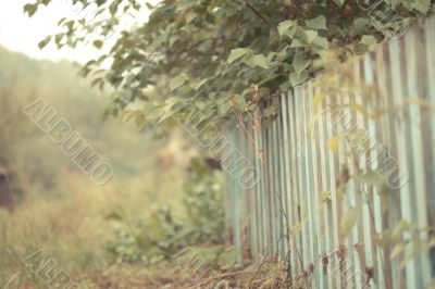 Old rickety fence