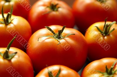 Bright red tomato