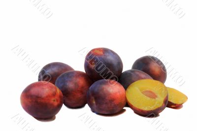 Large ripe plums on a white background.
