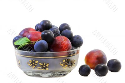 Plums and prunes in a vase for fruit on a white background.