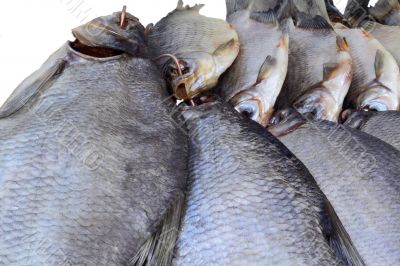 Salted and dried river fish on a white background.