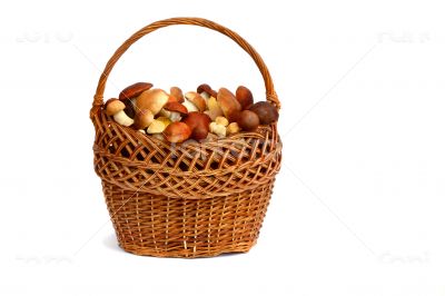 Mushrooms in a wicker basket on a white background.