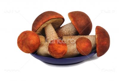 Mushrooms, aspen mushrooms on a blue saucer, photographed on a w