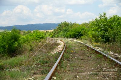 Empty railroad among the trees and grass