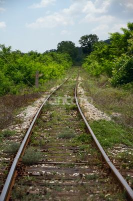 Empty railroad among the trees and grass