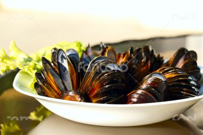 Mussels on the plate
