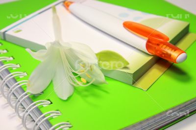 Notebook With Pen And Flower