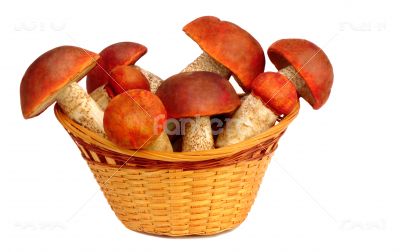 Mushrooms in a wicker basket on a white background.