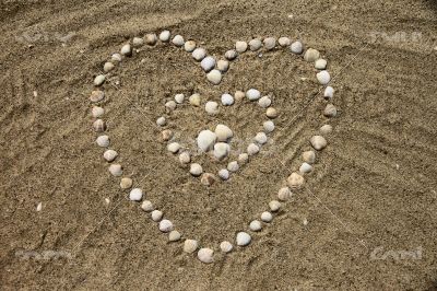 Seashells on the sand in the form of heart