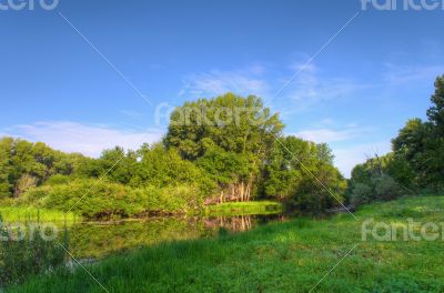 Landscape Forest Lake