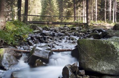 Flowing water of Carpathian mountain stream 