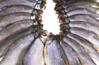 Salted and dried river fish on a white background.