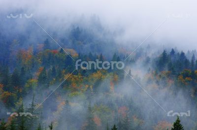 Foggy summer morning in the mountains. Carpathian, Ukraine,